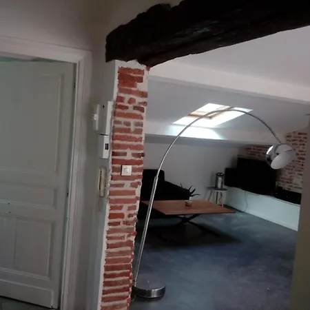Διαμέρισμα Loft Le Toulousain - Centre Ville *