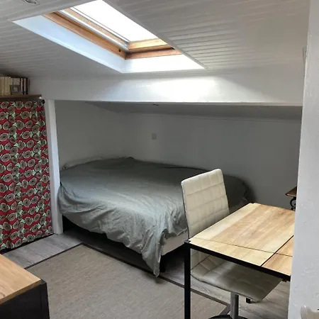 Loft Le Toulousain - Centre Ville Τουλούζη