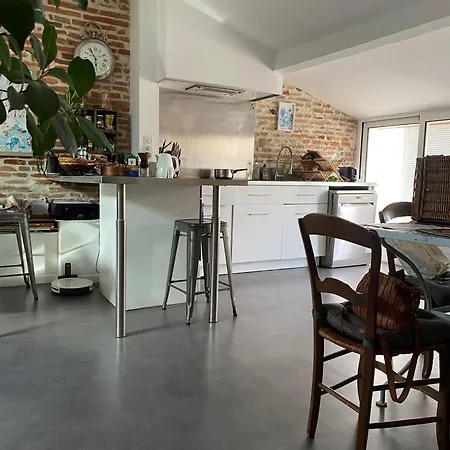Apartment Loft Le Toulousain - Centre Toulouse