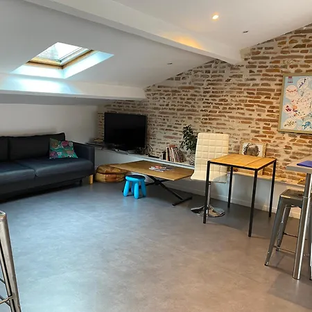 Loft Le Toulousain - Centre * トゥールーズ