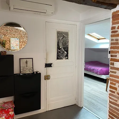 公寓 Loft Le Toulousain - Centre