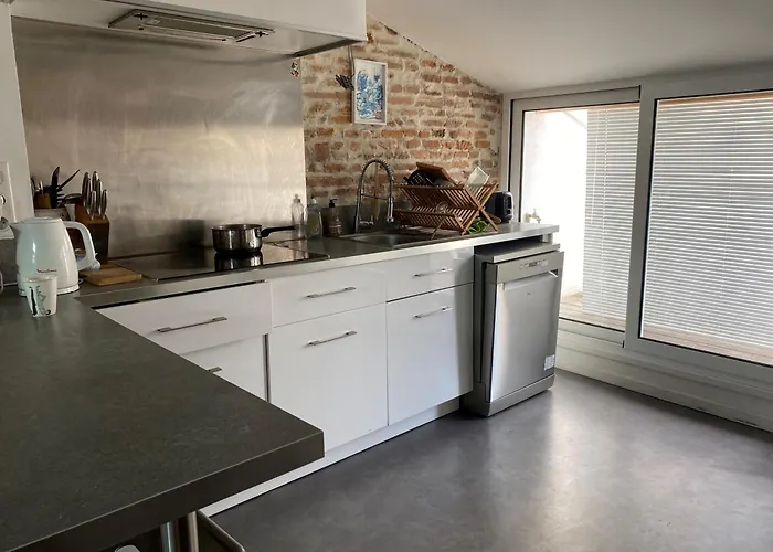 Loft Le Toulousain - Centre *